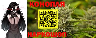 винт Новокубанск