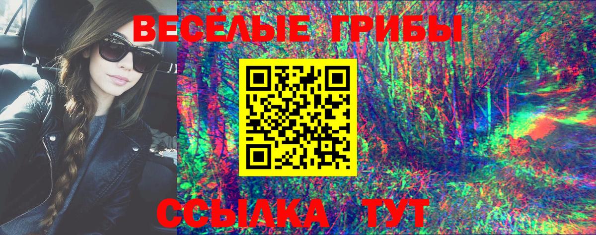 Псилоцибиновые грибы Cubensis  Вход с VPN  Ревда 