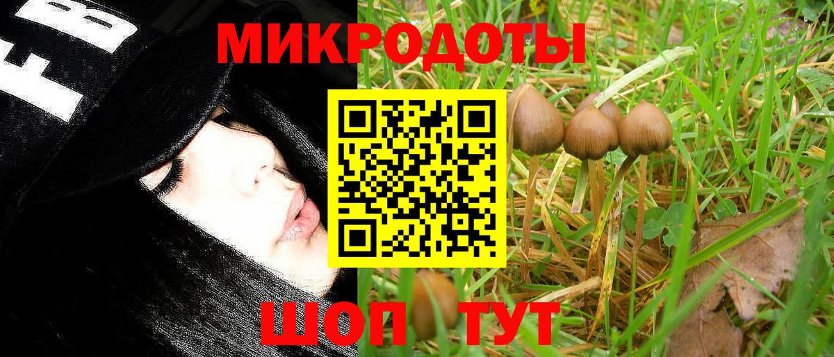 Псилоцибиновые грибы мухоморы Ревда